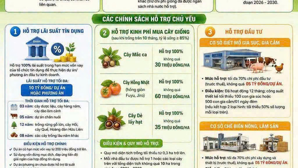 NGHI QUYẾT SỐ 02 NGÀY 26 THÁNG 3 NĂM 2026 CỦA HDND TỈNH LẠNG SƠN VỀ MỘT SỐ CHÍNH SÁCH HỖ TRỢ ĐẦU TƯ VÀO NÔNG NGHIỆP